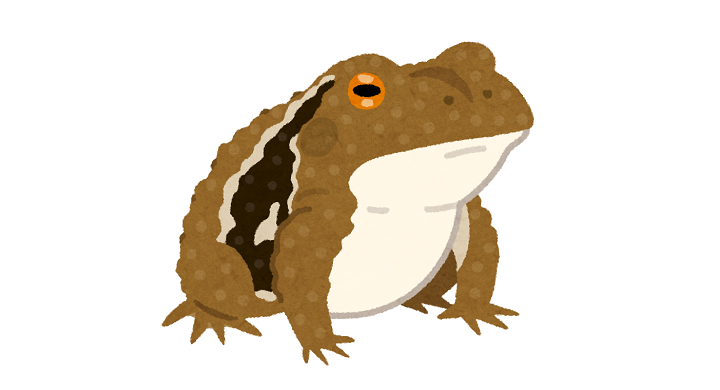 ヒキガエル