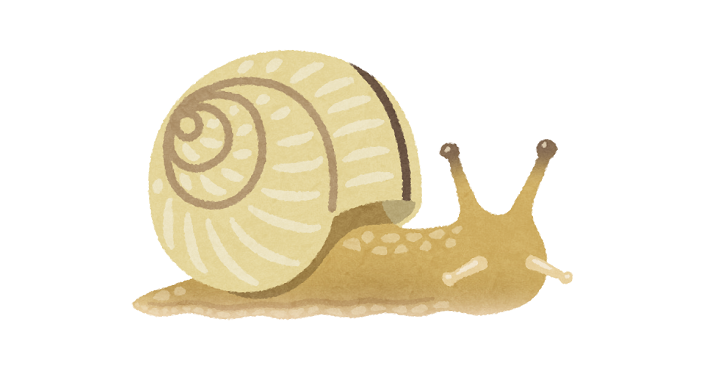 カタツムリ