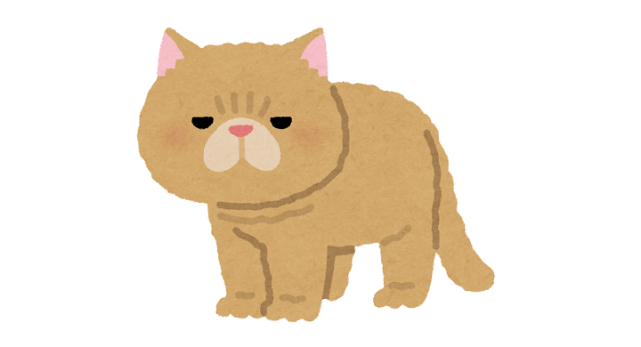 エキゾチックショートヘア