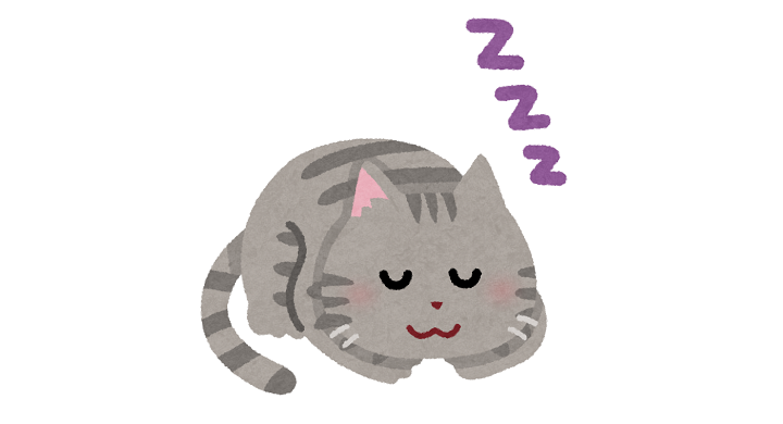 寝る猫