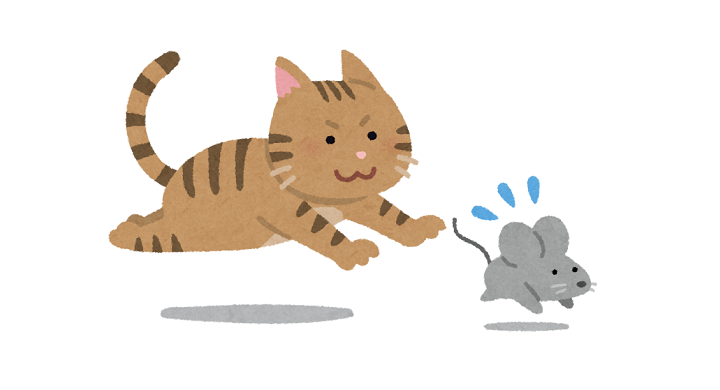ネズミを追いかける猫
