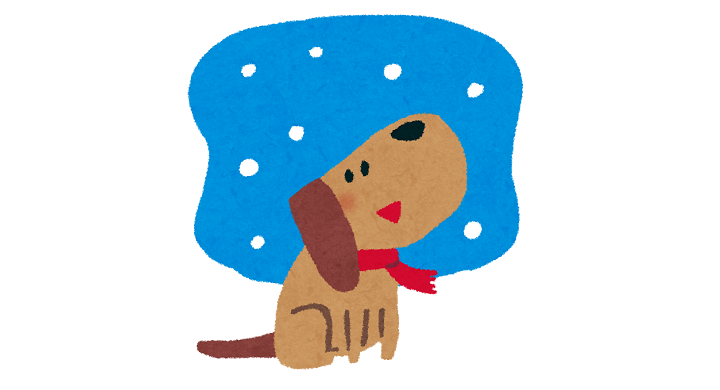 雪中の犬