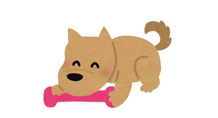 おもちゃと遊ぶ犬