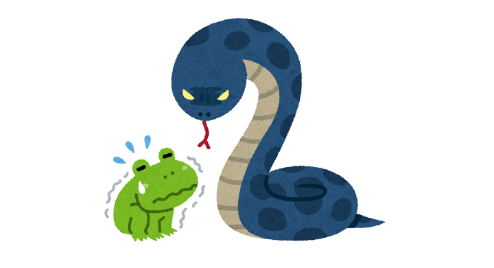 蛇に睨まれた蛙