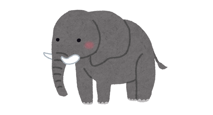 かわいい象