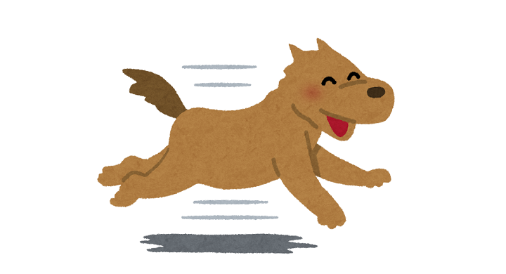 走る犬