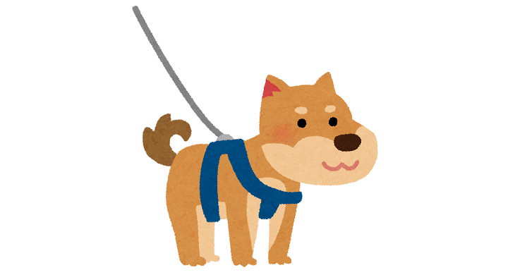 ハーネスをつけた犬