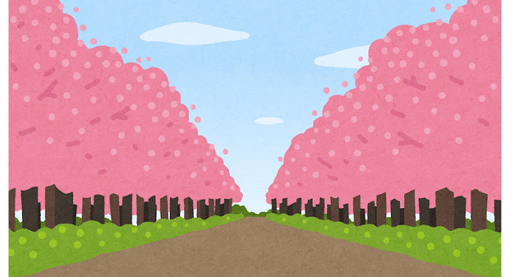 桜並木