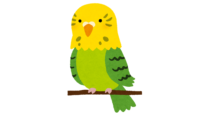 インコ