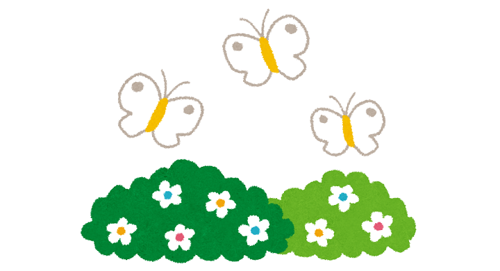 お花畑と蝶