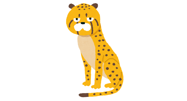 チーター