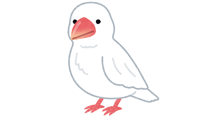 白い文鳥