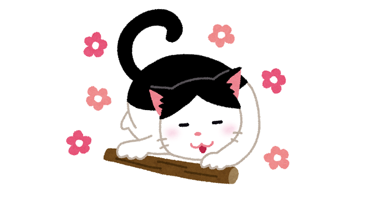 じゃれる猫