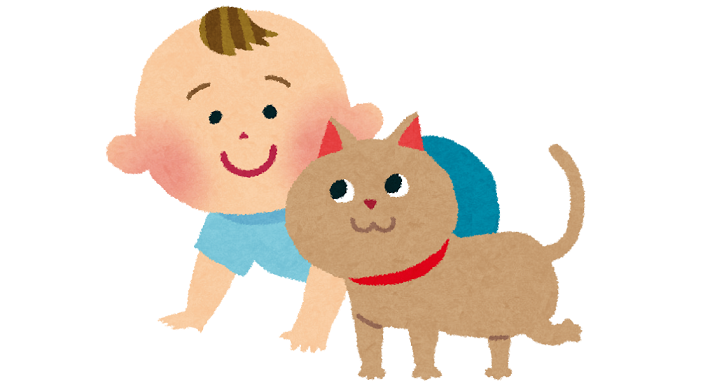 猫とハイハイ