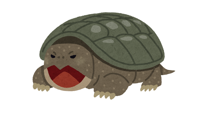 カミツキガメ