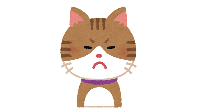怒り顔の猫
