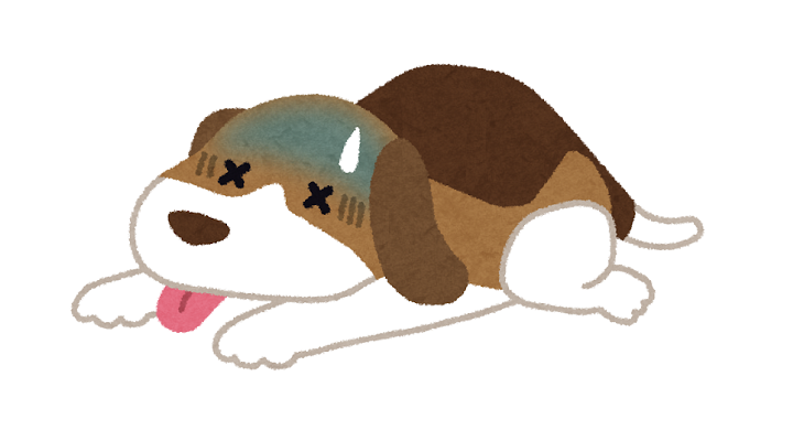 気の犬